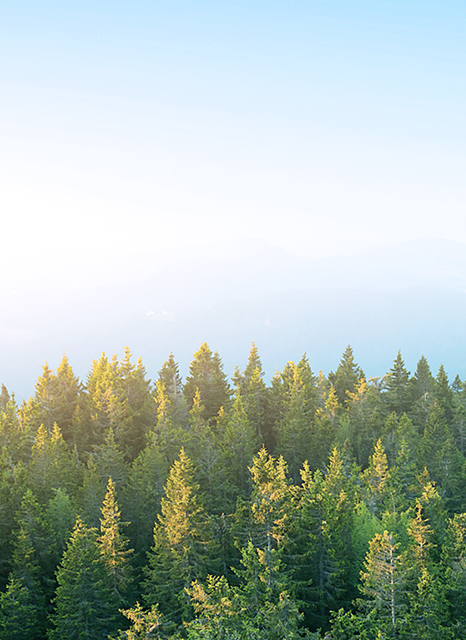 亚洲Av无码精品国产精品成人