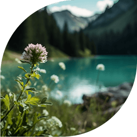 亚洲Av无码精品国产精品成人